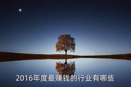 2016年度最賺錢的行業(yè)有哪些