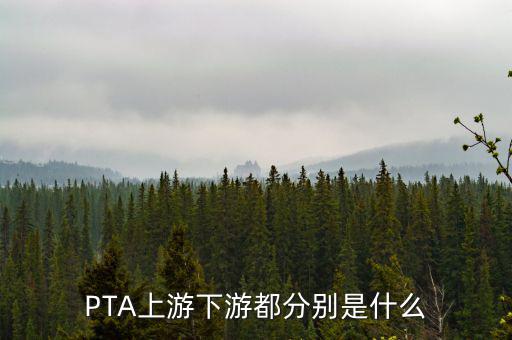 PTA上游下游都分別是什么