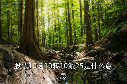 股票10送10轉10派25是什么意思