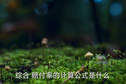 綜合 賠付率的計(jì)算公式是什么