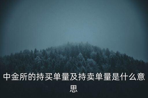 中金所的持買(mǎi)單量及持賣(mài)單量是什么意思