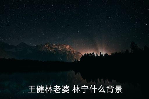  王健林老婆 林寧什么背景