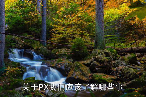 px項(xiàng)目是干什么的，關(guān)于PX我們應(yīng)該了解哪些事