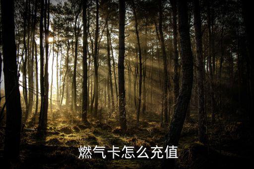 長(zhǎng)春燃?xì)鈏c卡費(fèi)怎么交,長(zhǎng)春燃?xì)庠诰€充值繳費(fèi)網(wǎng)點(diǎn)有三個(gè)