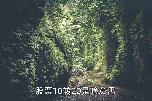 10送20的股票什么意思，股票10轉(zhuǎn)20是什么意思