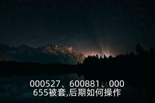 000527、600881、000655被套,后期如何操作