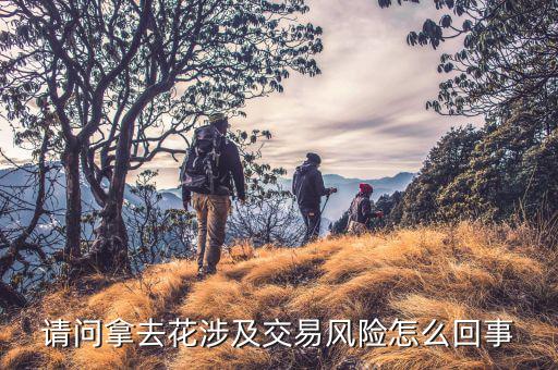 請問拿去花涉及交易風(fēng)險(xiǎn)怎么回事