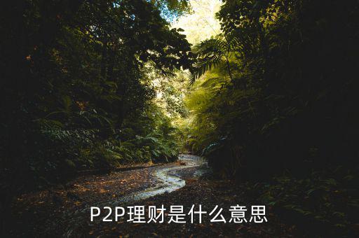 p2p理財(cái)是什么意思，什么是P2P理財(cái)