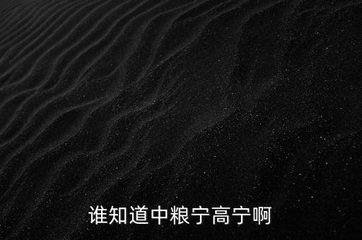 寧高寧為什么離開華潤，誰知道中糧寧高寧啊