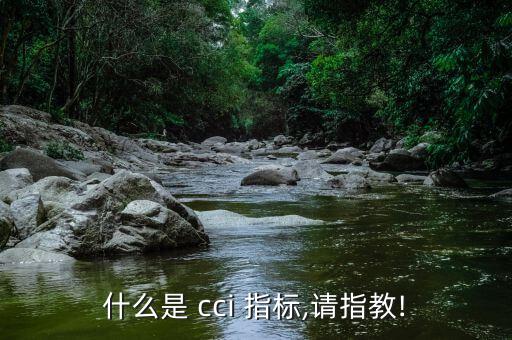 什么是 cci 指標(biāo),請指教!