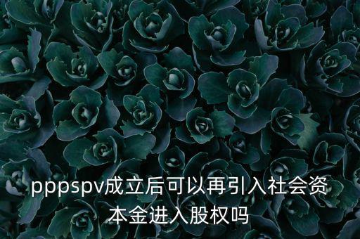 spv公司是什么意思，spv公司是獨(dú)立法人