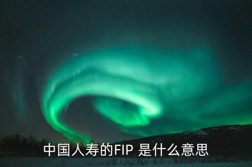 規(guī)模保費(fèi)是什么意思，中國人壽的FIP 是什么意思