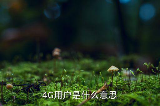 4G用戶是什么意思