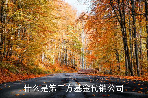 什么是笫三方基金代銷(xiāo)公司