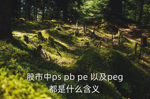 股市peg是什么意思，請問在股市里的PEG是什么意思和股價的關(guān)系怎樣多謝