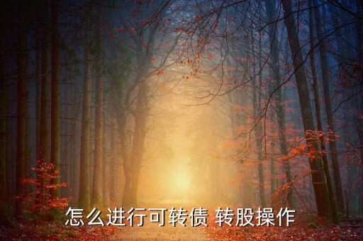 南山轉(zhuǎn)股怎么轉(zhuǎn),可轉(zhuǎn)債轉(zhuǎn)股交易日到達指定用戶交易賬戶