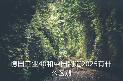 德國工業(yè)40和中國制造2025有什么區(qū)別