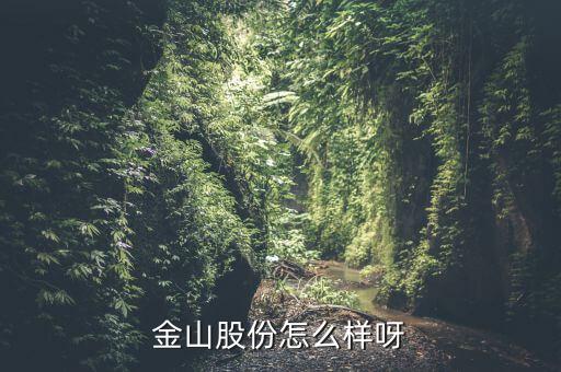 為什么沒人關(guān)注金山股份，金山股份怎么樣呀