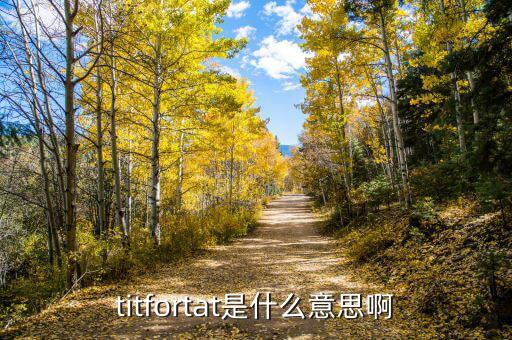 titfortat是什么意思啊