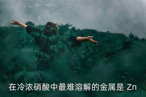 什么金屬易融難化，最不容易融化的金屬是什么想對來說便宜一點(diǎn)的是什么