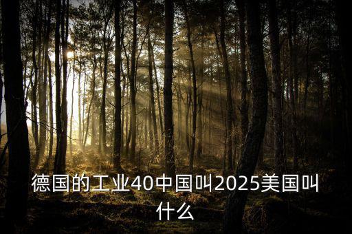 德國的工業(yè)40中國叫2025美國叫什么