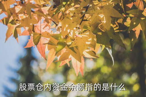 股票倉內(nèi)資金余額指的是什么