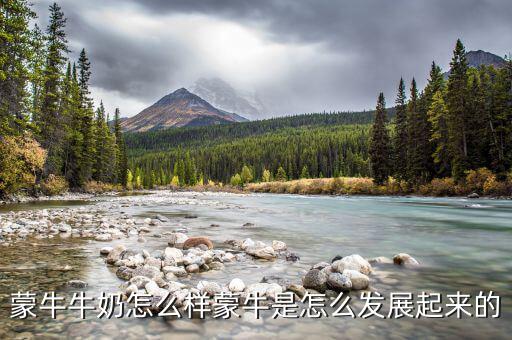 蒙牛為什么會走向全國，好想知道蒙牛最近怎么了怎么今年市場份額占比這么大