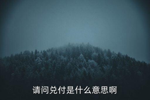 請問兌付是什么意思啊