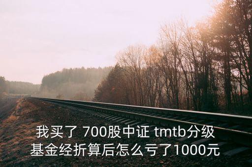 tmtb基金是什么股票，我買了 700股中證 tmtb分級基金經(jīng)折算后怎么虧了1000元