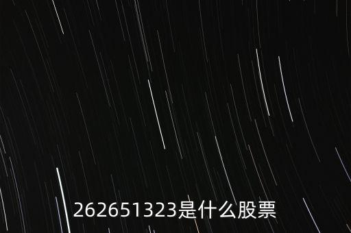 262651323是什么股票