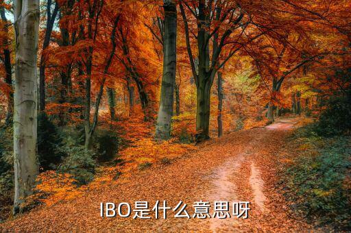 美股ibo是什么公司，IBO是什么意思呀