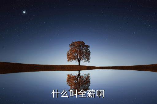 全薪是什么意思，咨詢一下全薪指的是基本工資獎(jiǎng)勵(lì)嗎