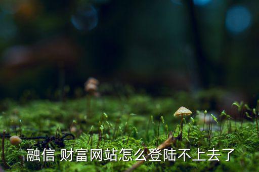  融信 財富網(wǎng)站怎么登陸不上去了