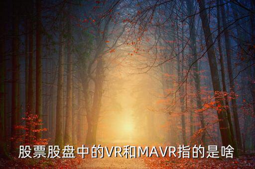 vr股是什么，股票股盤中的VR和MAVR指的是啥