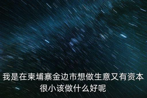 柬埔寨投資100萬元能干什么，我是在柬埔寨金邊市想做生意又有資本很小該做什么好呢