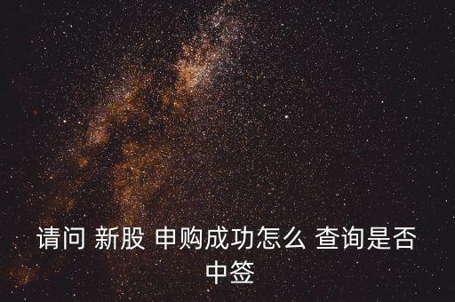 請(qǐng)問 新股 申購成功怎么 查詢是否 中簽