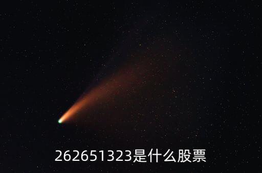 208393股票是什么，262651323是什么股票