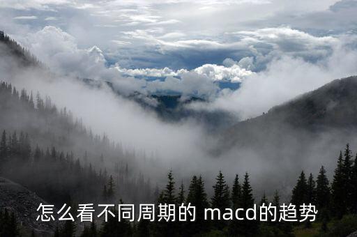 怎么看不同周期的 macd的趨勢