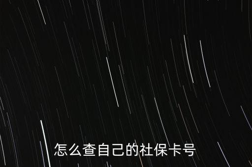 怎么查自己的社?？ㄌ?hào)