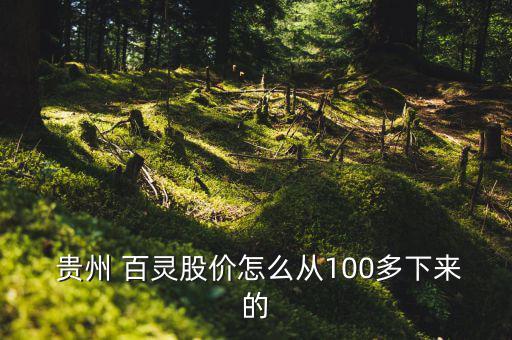  貴州 百靈股價(jià)怎么從100多下來(lái)的