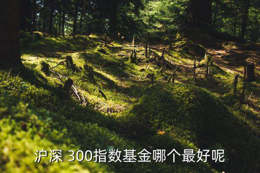 南方滬深300怎么樣,四只理財有戲!