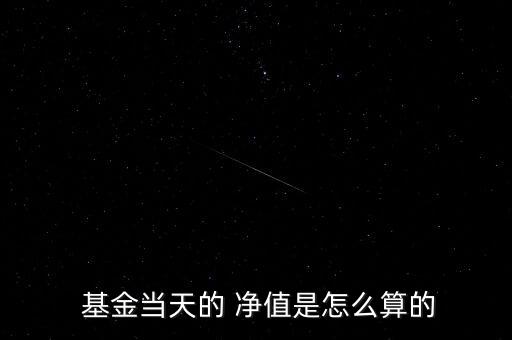  基金當(dāng)天的 凈值是怎么算的