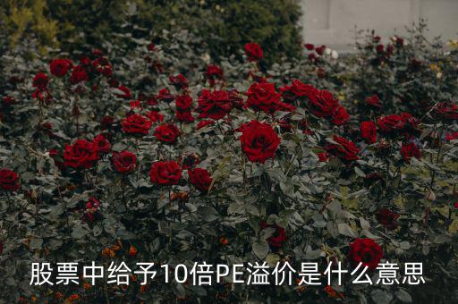 股票10倍市盈率什么意思，買10倍市盈率上下的大盤股什么意思