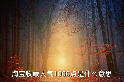 1000點(diǎn)2000點(diǎn)什么意思，加拿大簽證中1000 2000什么意思