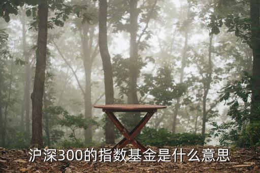 基金滬深300什么，滬深300的指數(shù)基金是什么意思