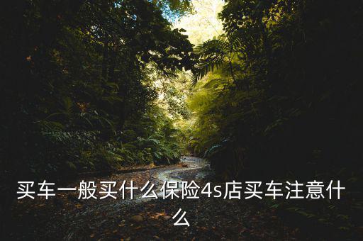 買(mǎi)車(chē)一般買(mǎi)什么保險(xiǎn)4s店買(mǎi)車(chē)注意什么