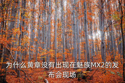 為什么黃章沒(méi)有出現(xiàn)在魅族MX2的發(fā)布會(huì)現(xiàn)場(chǎng)