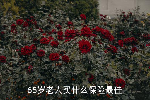 65歲老人買(mǎi)什么保險(xiǎn)最佳