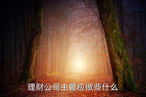 理財公司主管應(yīng)做些什么