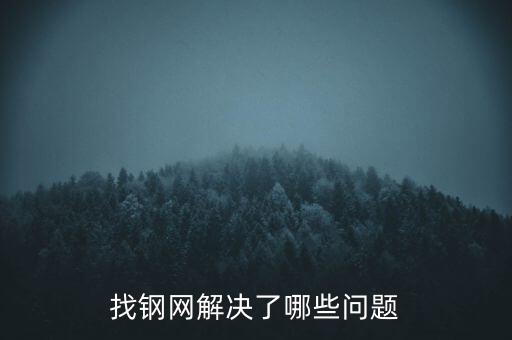 找鋼網(wǎng)解決了哪些問題